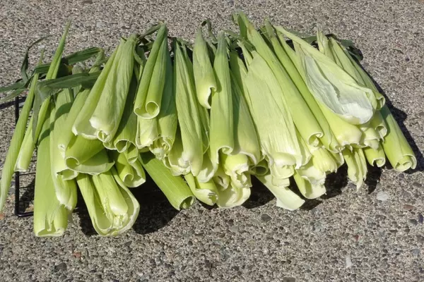 how to dry corn husks