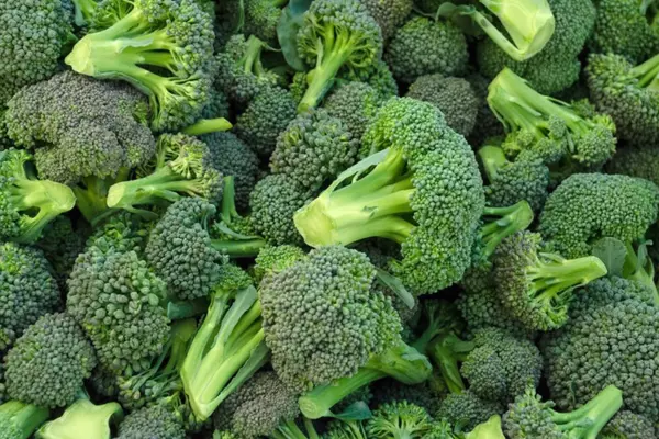 how to tell if broccoli is bad