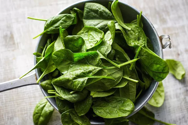 how to tell if spinach has gone bad