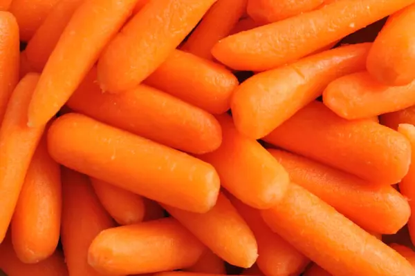 can you freeze carrots