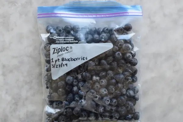 how to freeze blueberries