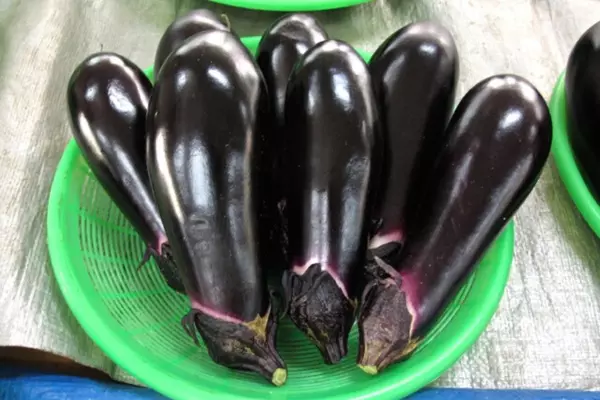 How To Store Eggplant