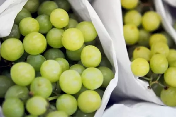 how to store grapes