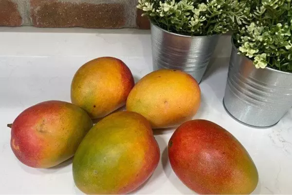 How To Tell If A Mango Is Ripe