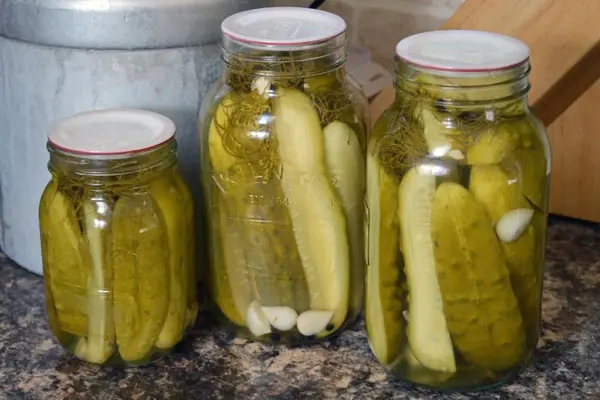 Moonshine Pickles Recipe