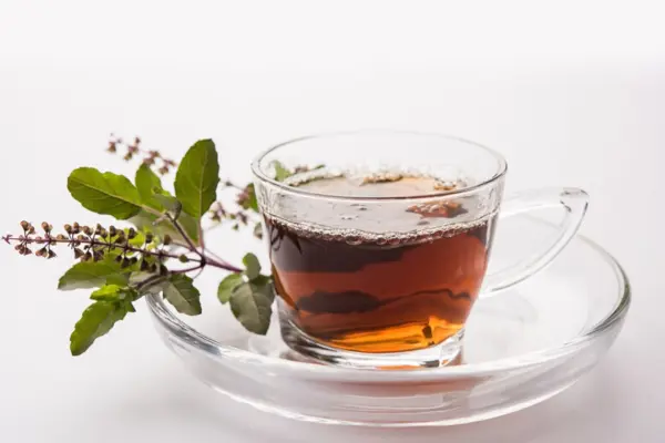 Tulsi Tea Recipe