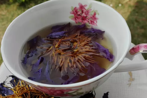 Blue Lotus Tea Recipe