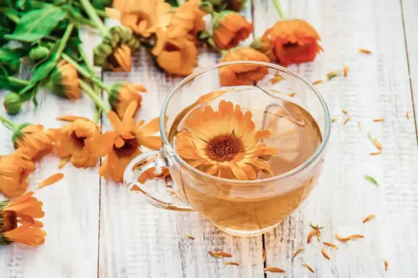 Calendula Tea Recipe