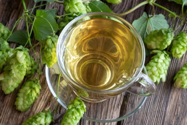 hop tea recipe