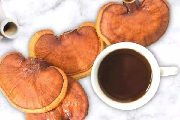 reishi tea recipe