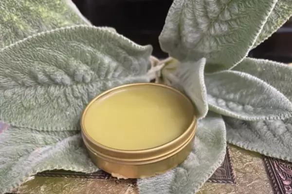 Lamb's Ear Salve Recipe